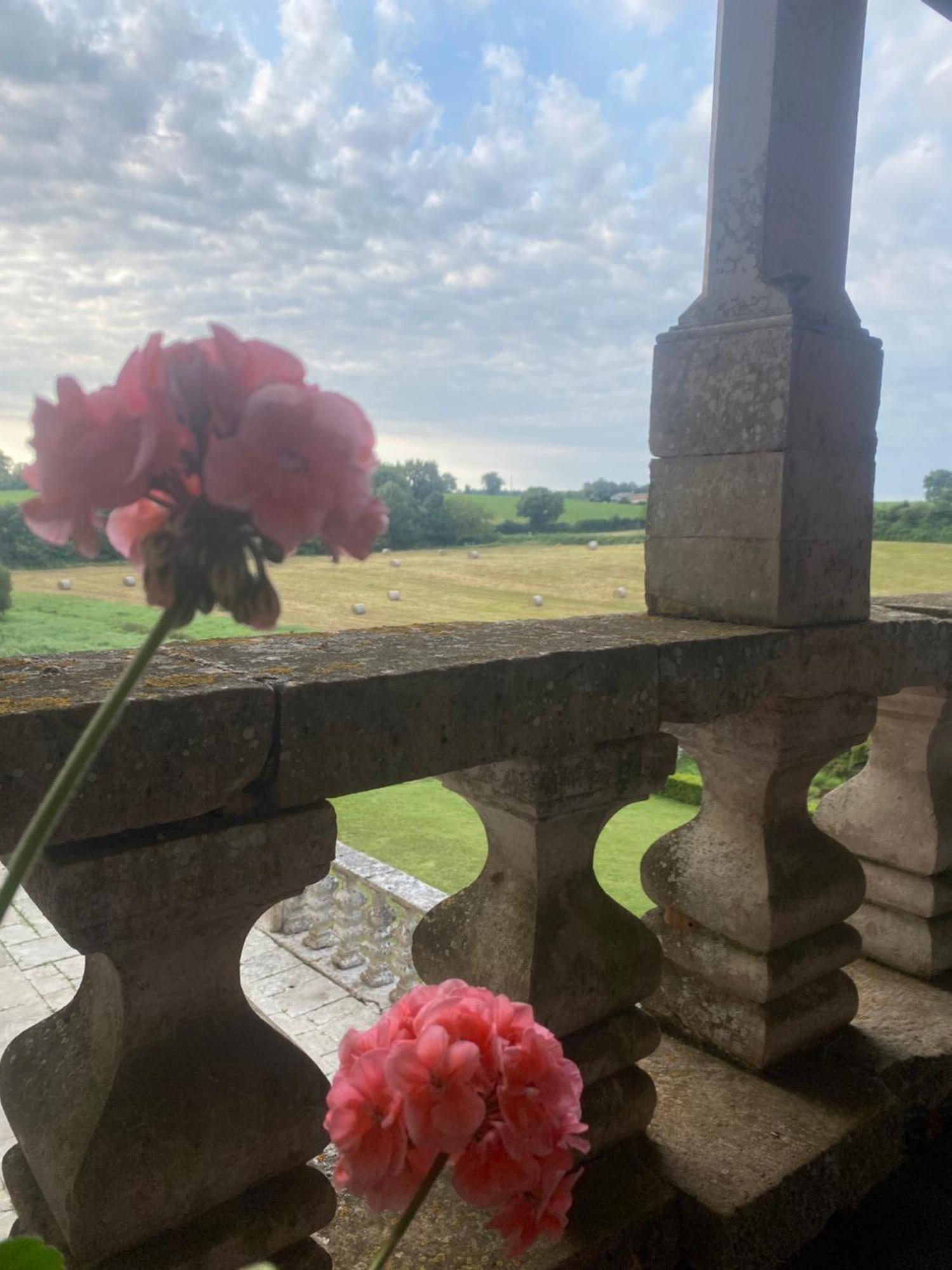 Chateau De Cibioux Surin  외부 사진